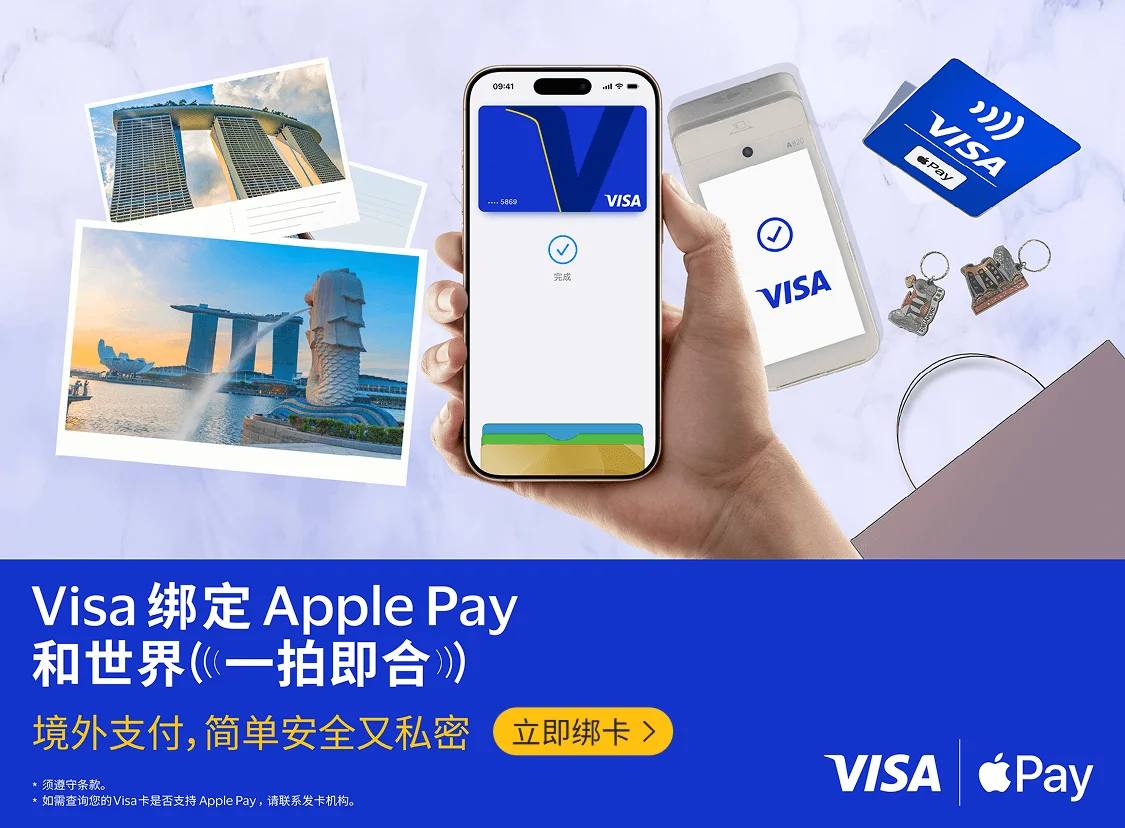 多家银行发行的 Visa
