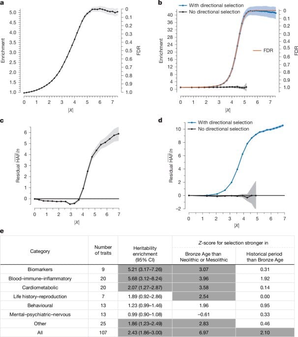 《自然》刊发大规模古 DNA 研究：过去万年人类经历广泛定向选择，影响认知与体脂